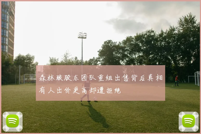 森林狼股东团队重组出售背后真相有人出价更高却遭拒绝