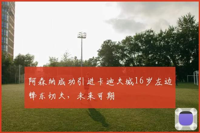 阿森纳成功引进卡迪夫城16岁左边锋东切夫，未来可期